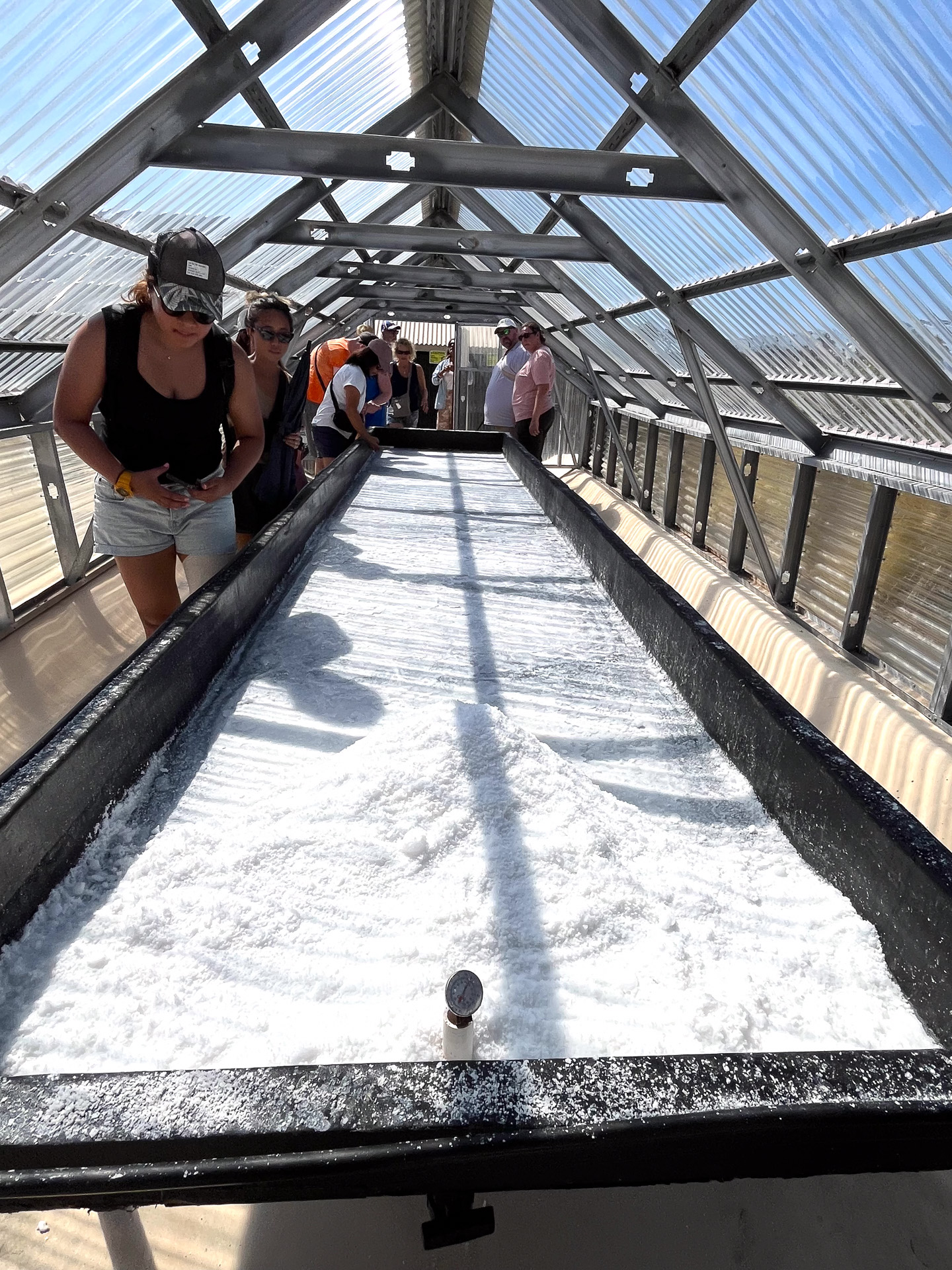 できあがったばかりの真っ白な白