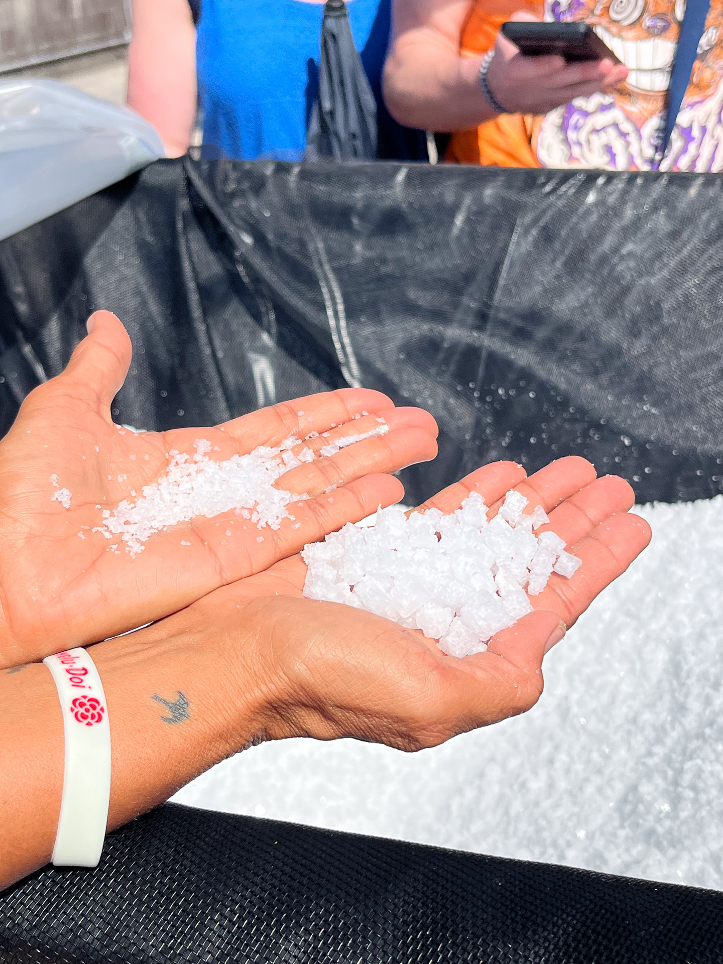 塩の結晶のサイズの違いを説明