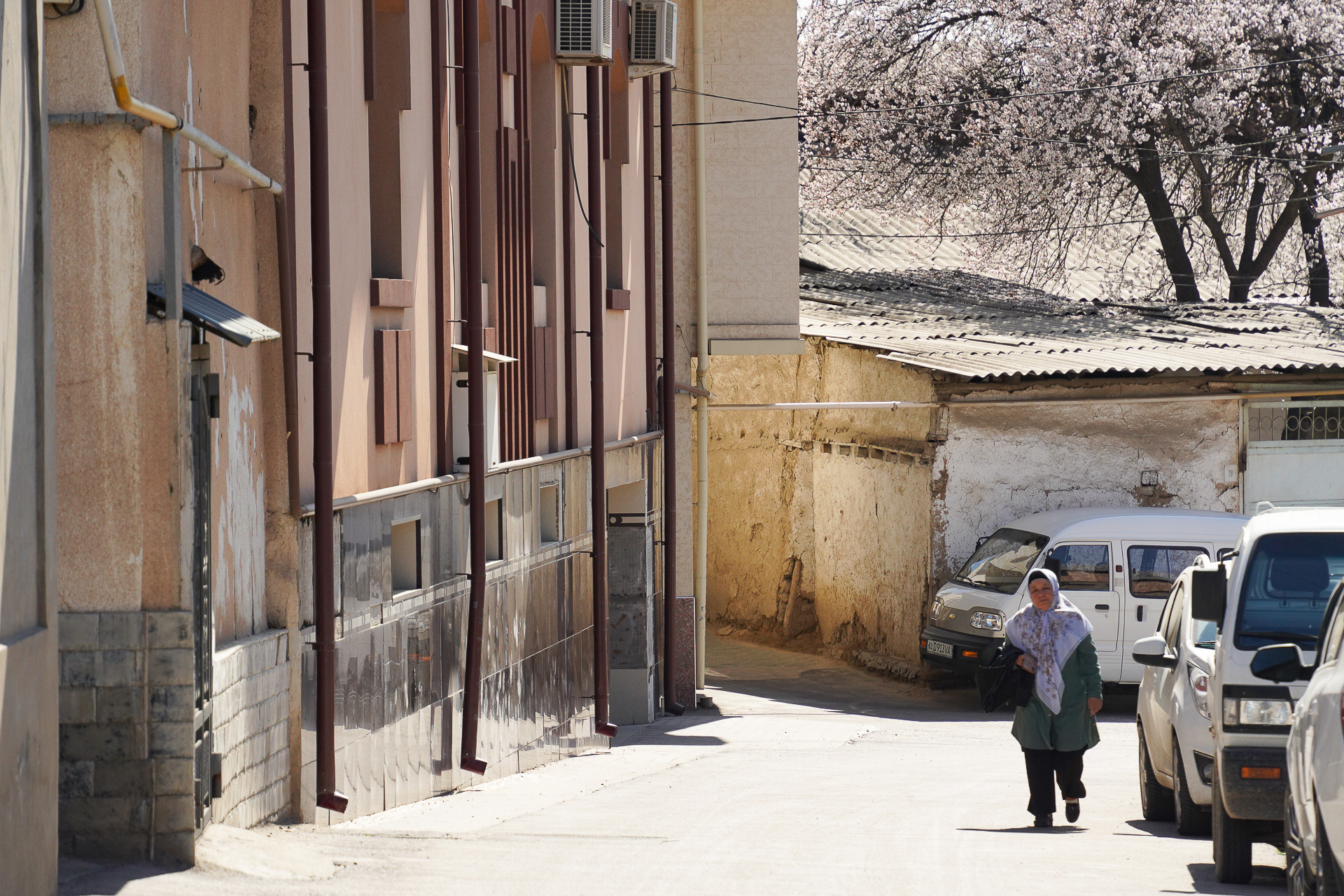 市街地を少し離れた住宅地に入ると、このような雰囲気になる