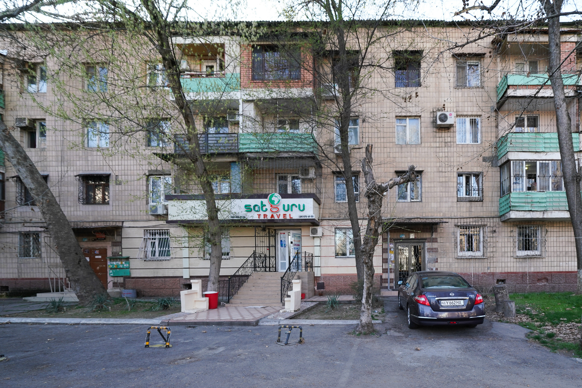 形は一般的だが色使いがおもしろい