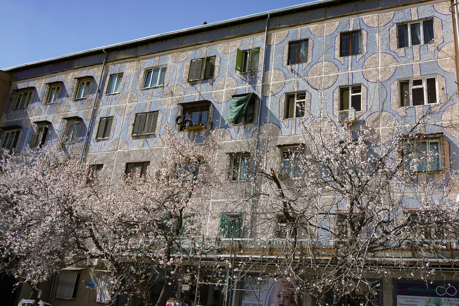 妙にかわいいデザインの壁面パターン