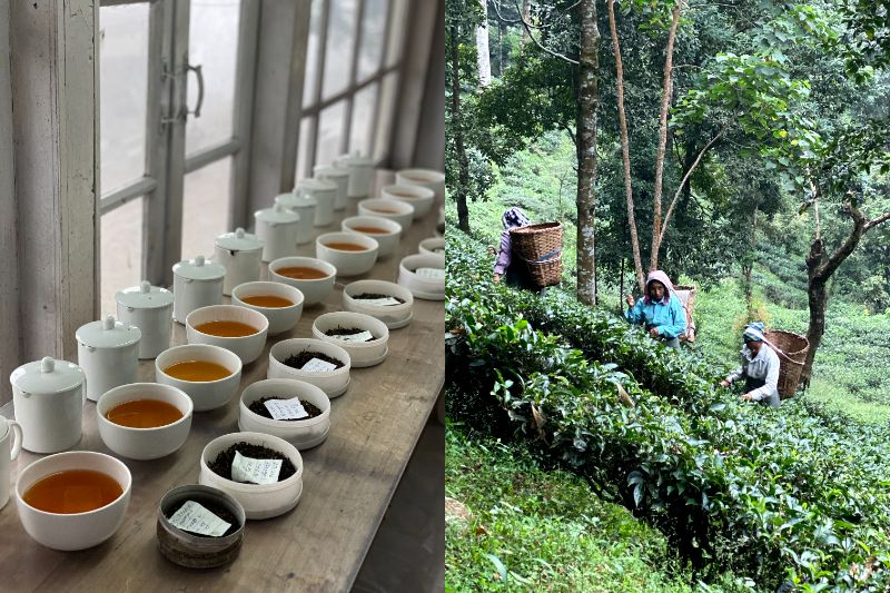 紅茶は故エリザベス女王にも献上された一級品ダージリンティーをはじめ、全6種類を好きなだけ味わえる