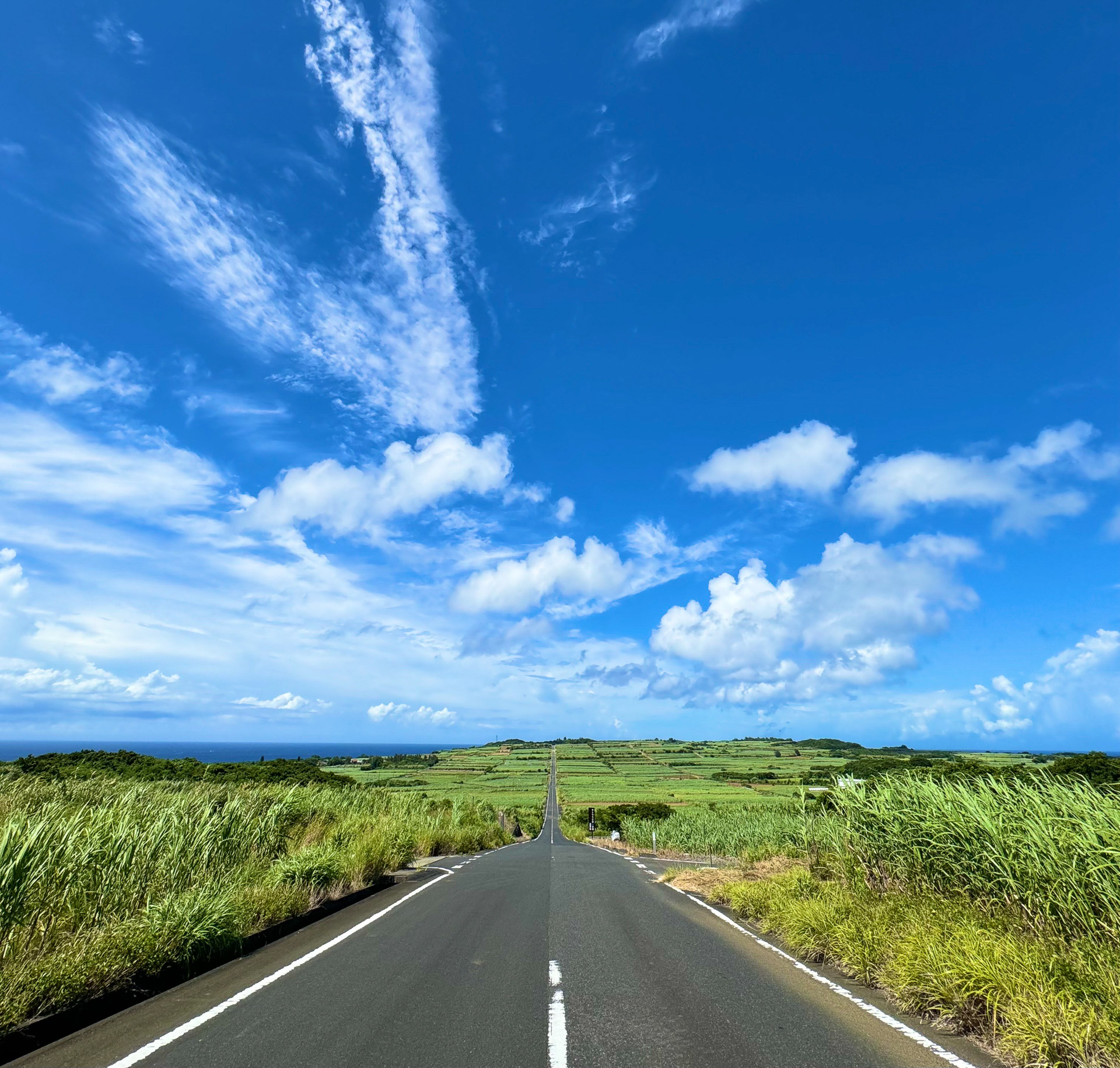 今回のイベントが開かれた喜界島にある「サトウキビ畑の一本道」