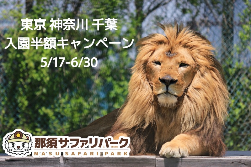那須サファリパークの入園料が東京都・神奈川県・千葉県の在住者限定で半額に