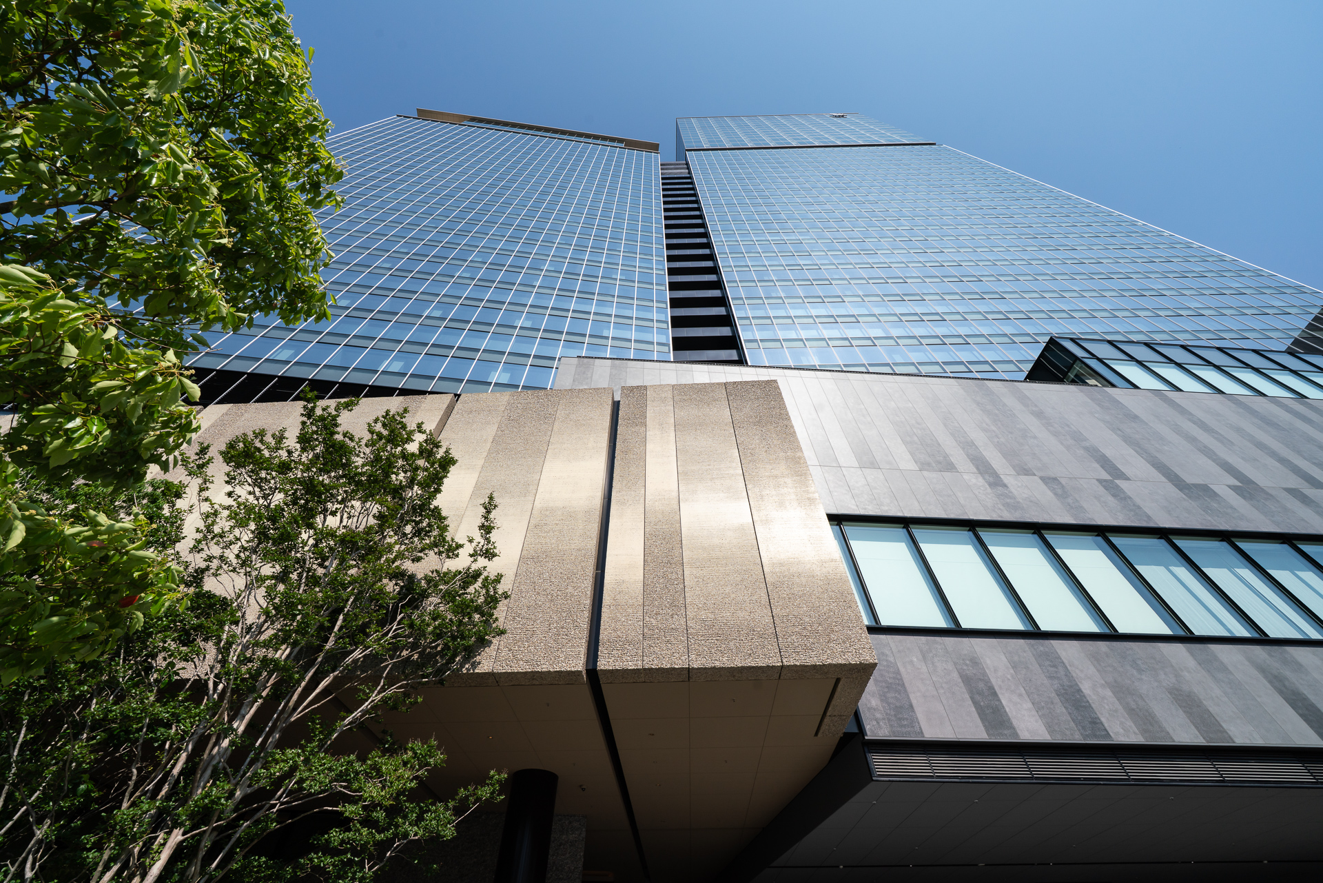 ビルを見上げたところ