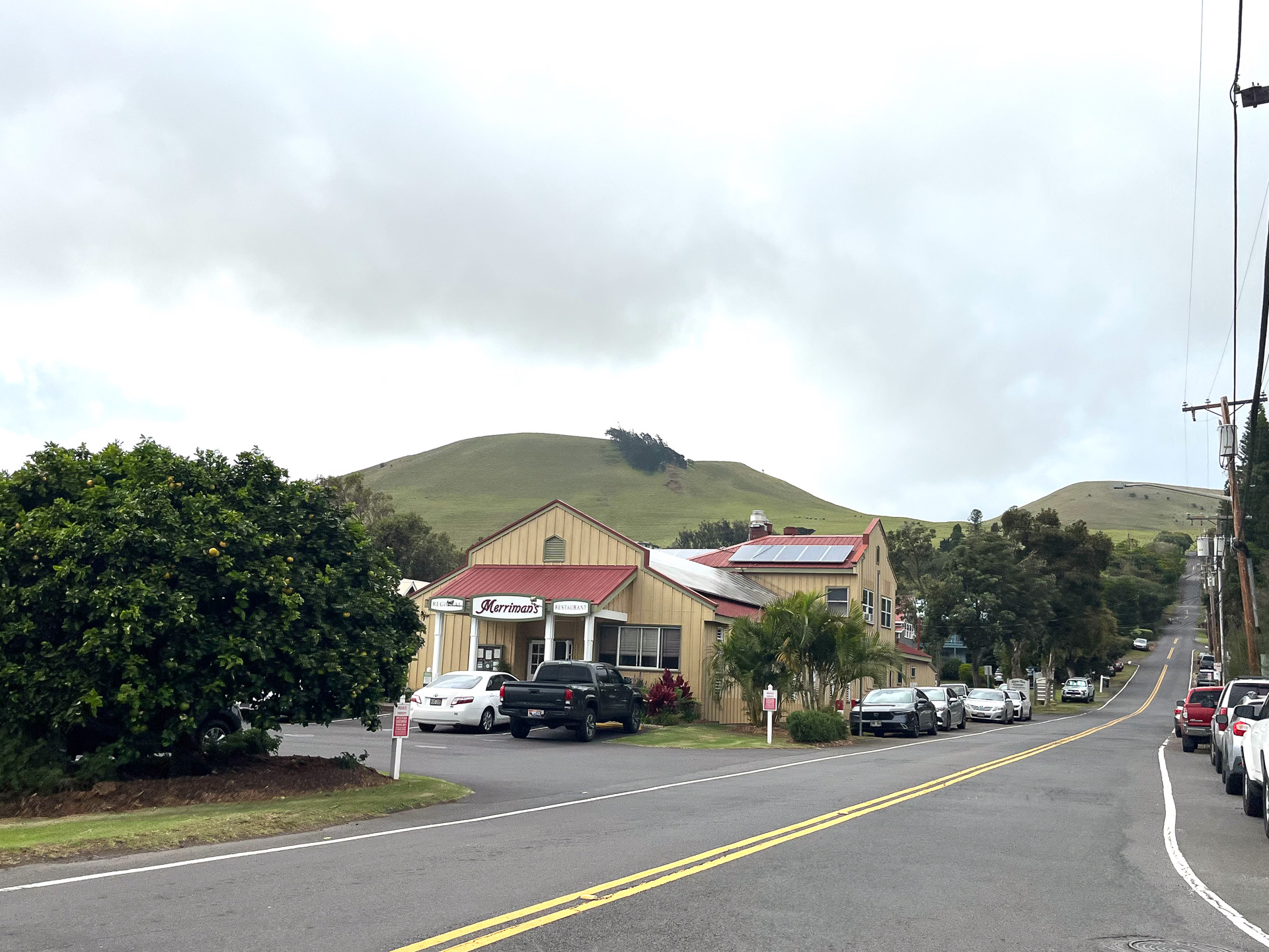 なだらかな丘陵地帯のワイメアにあるレストラン「メリマンズ」