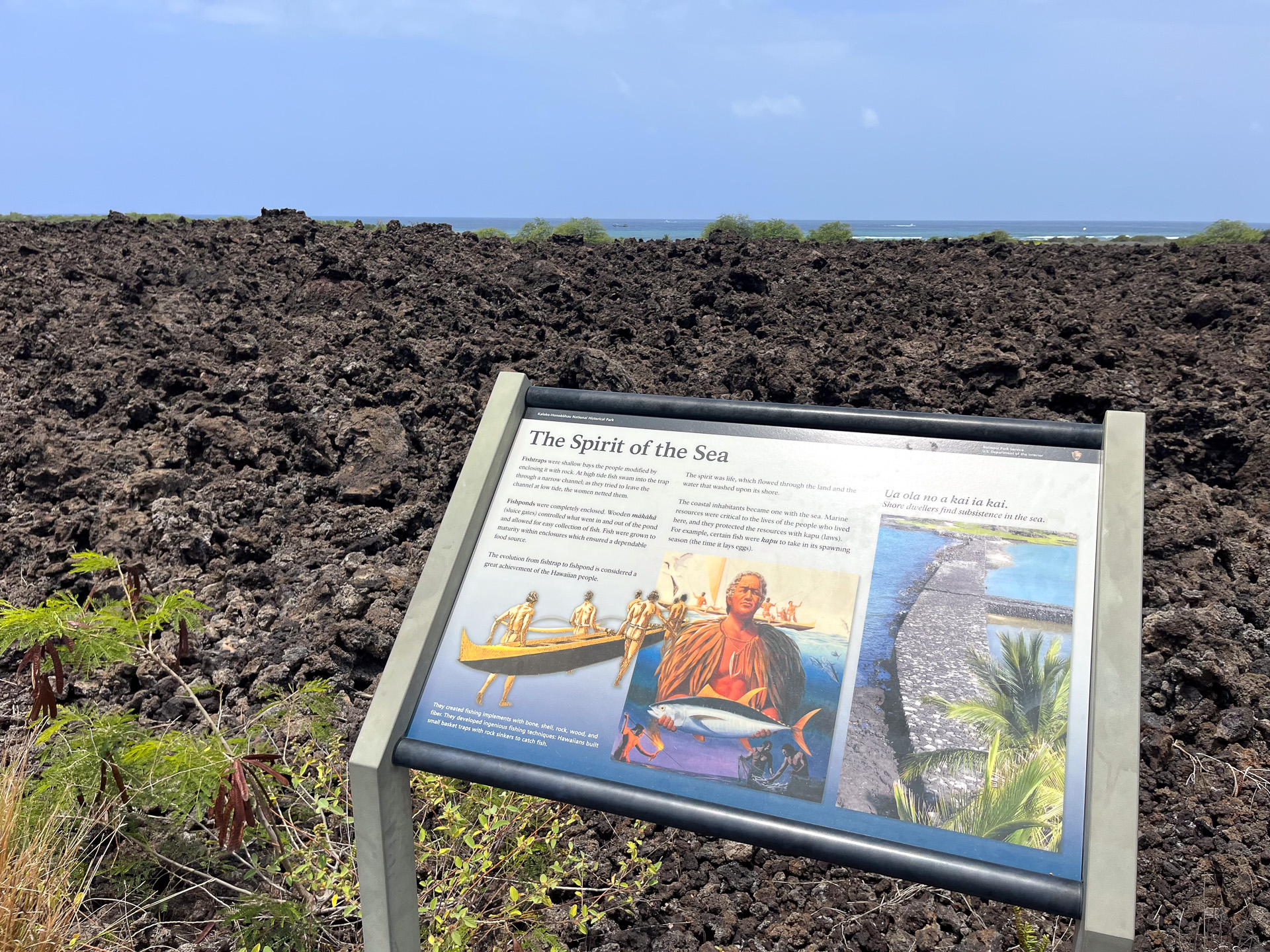 海を前に、ハワイアンの暮らしを垣間見ることができる
