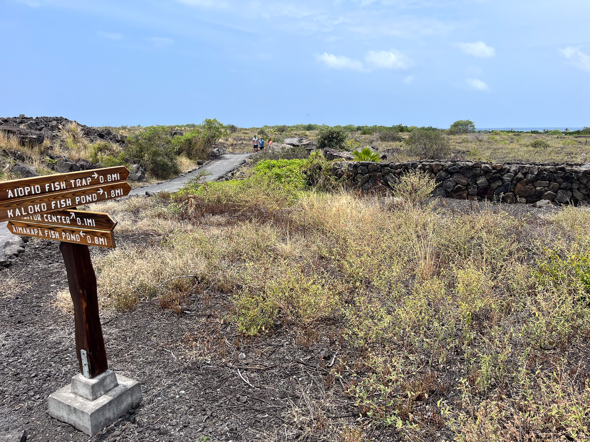 溶岩台地のなかを歩くハイキングコース