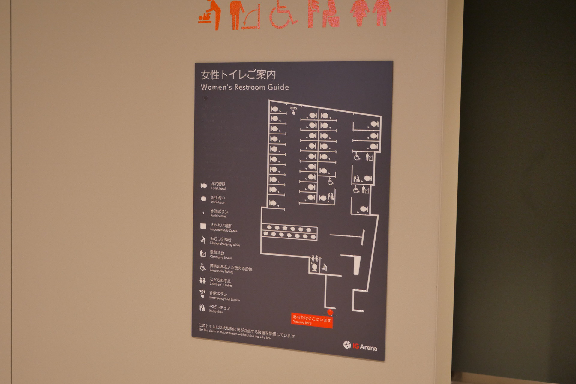 女子トイレにも、車椅子アクセス可能な個室やおむつ交換台、子供用便器などがある