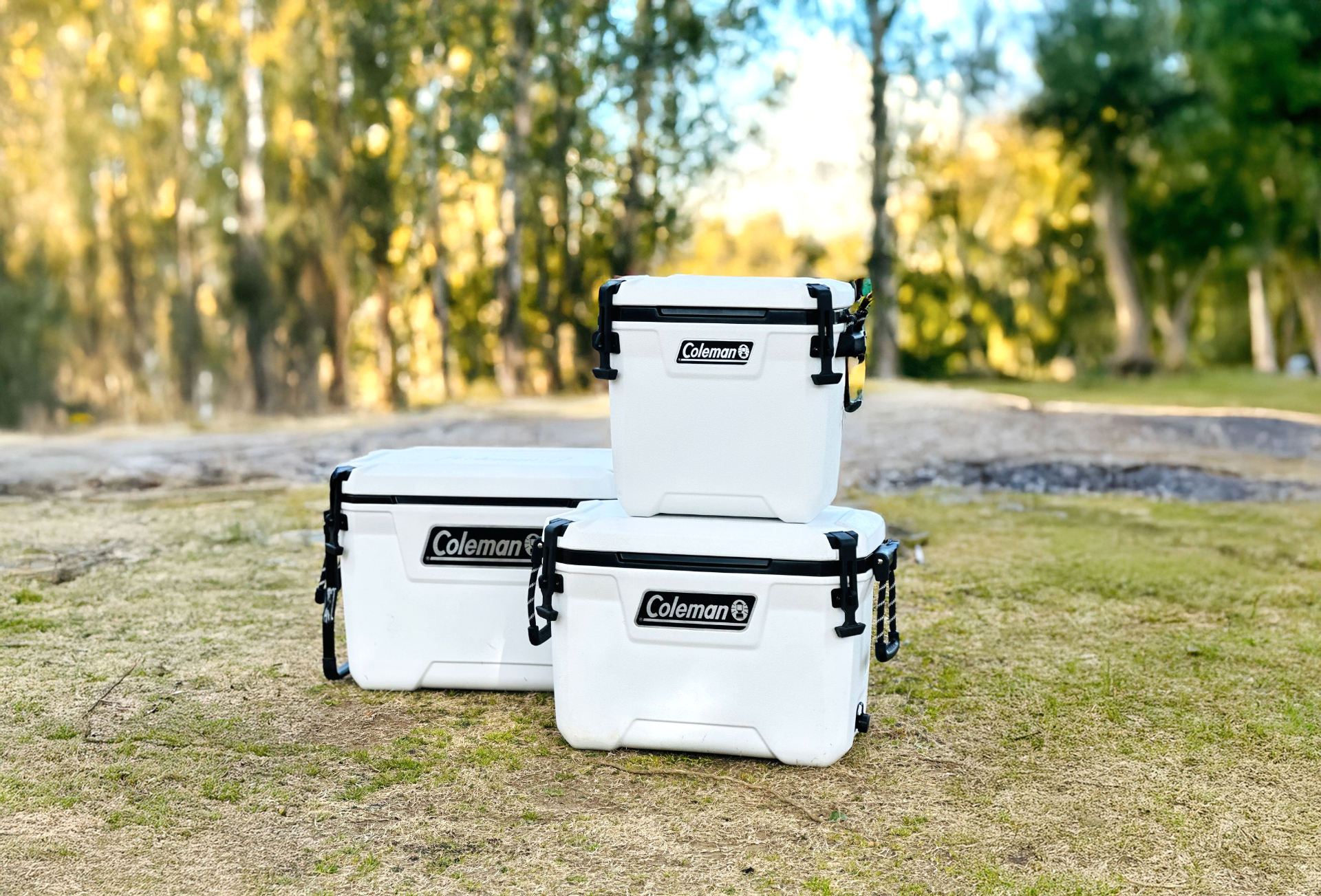 コールマンの人気ハードクーラーボックス「コンボイ」に限定ホワイトカラー登場
