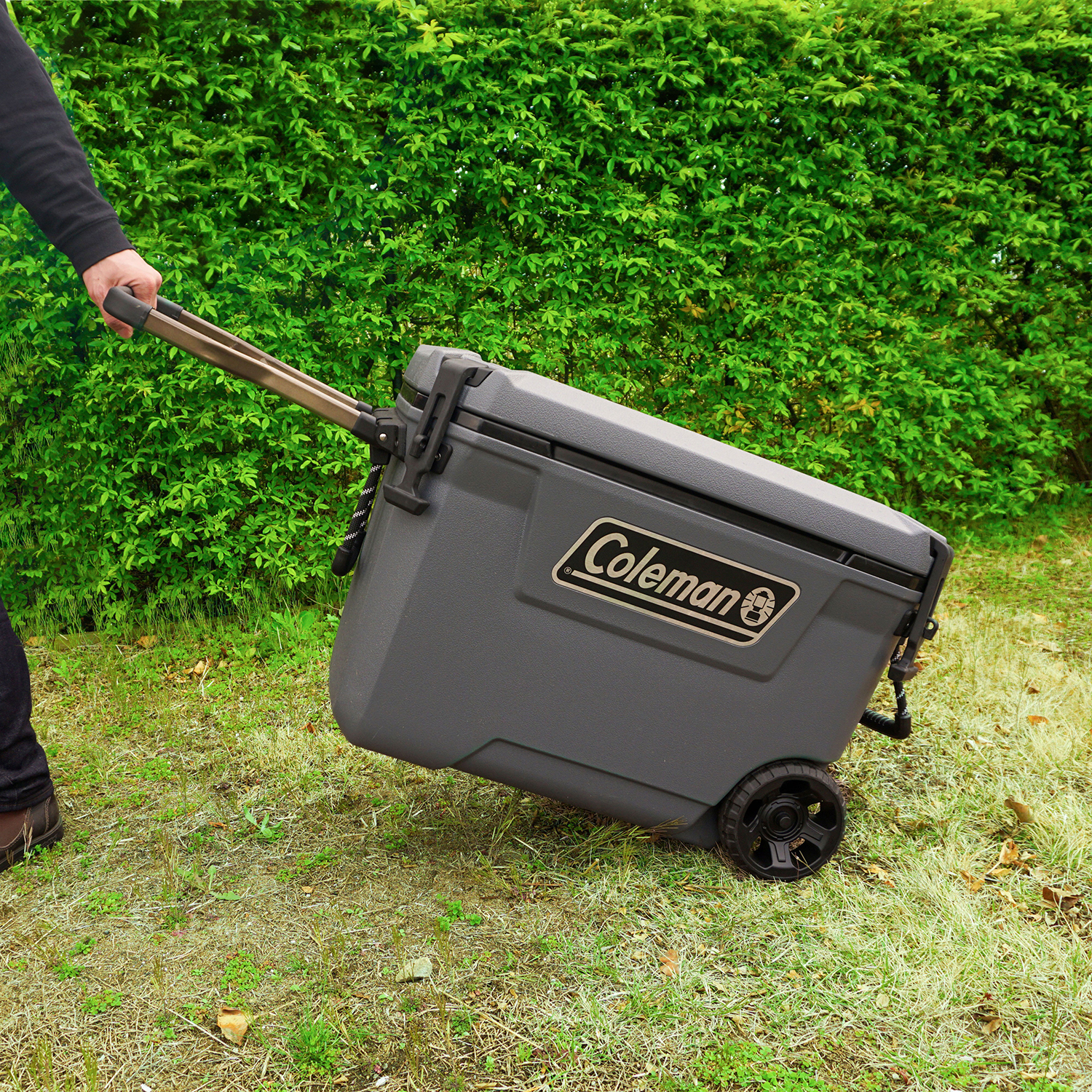 ダークストームカラー