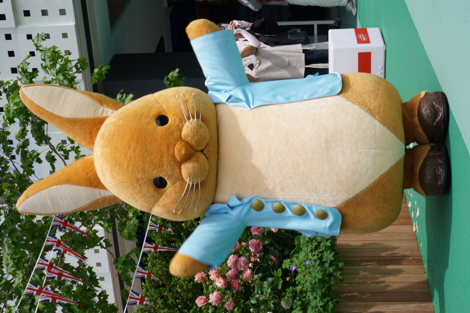 ピーターラビット