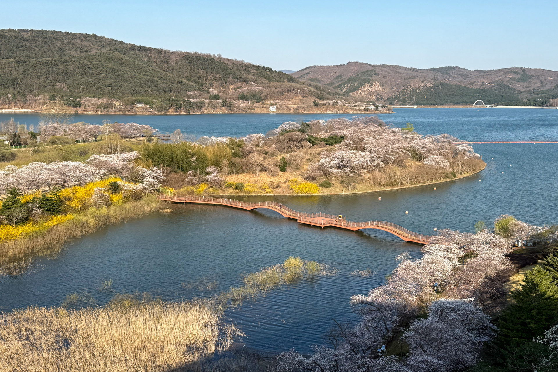 レイクビューで素晴らしい眺め