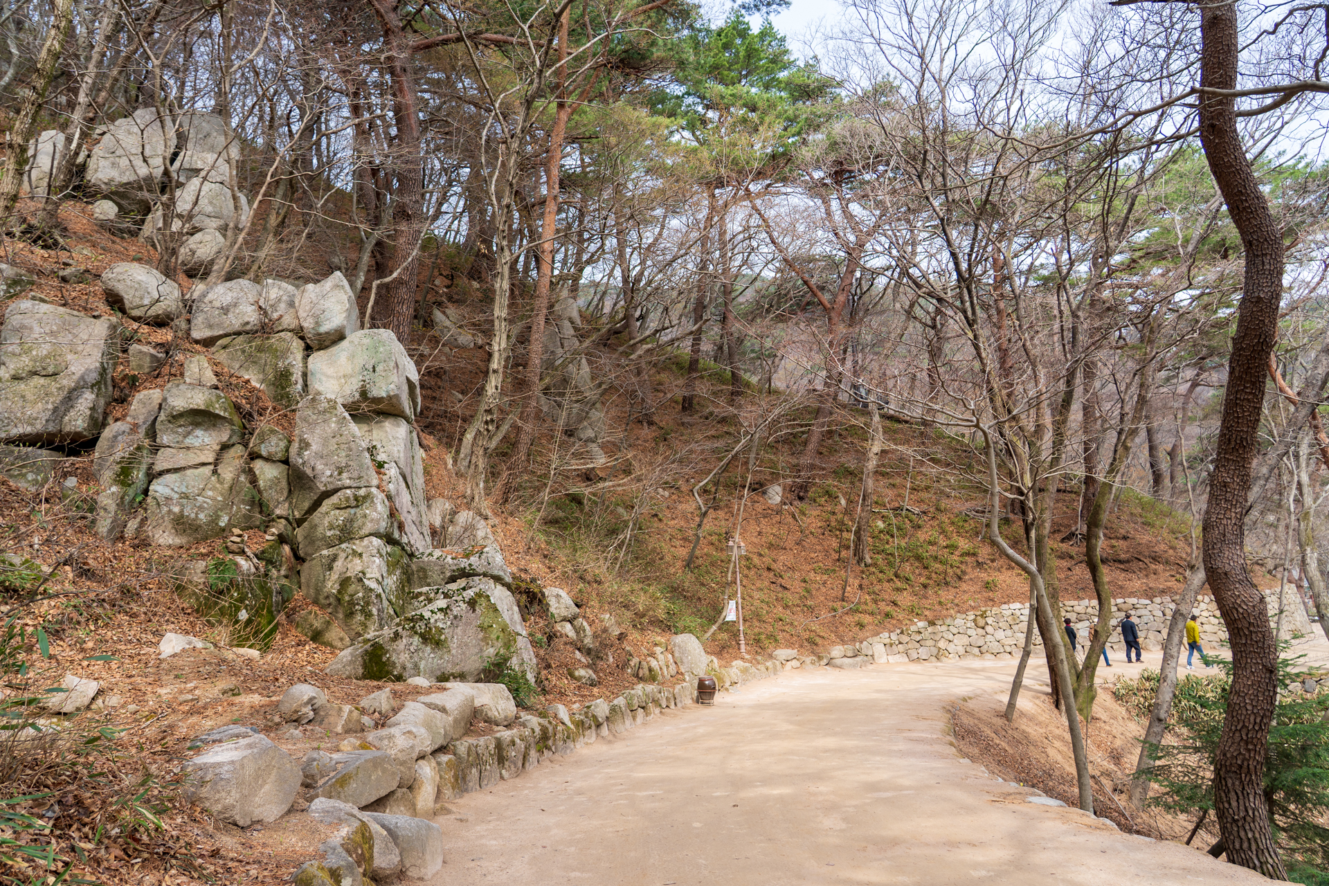 このような林道を約20分ほど歩く