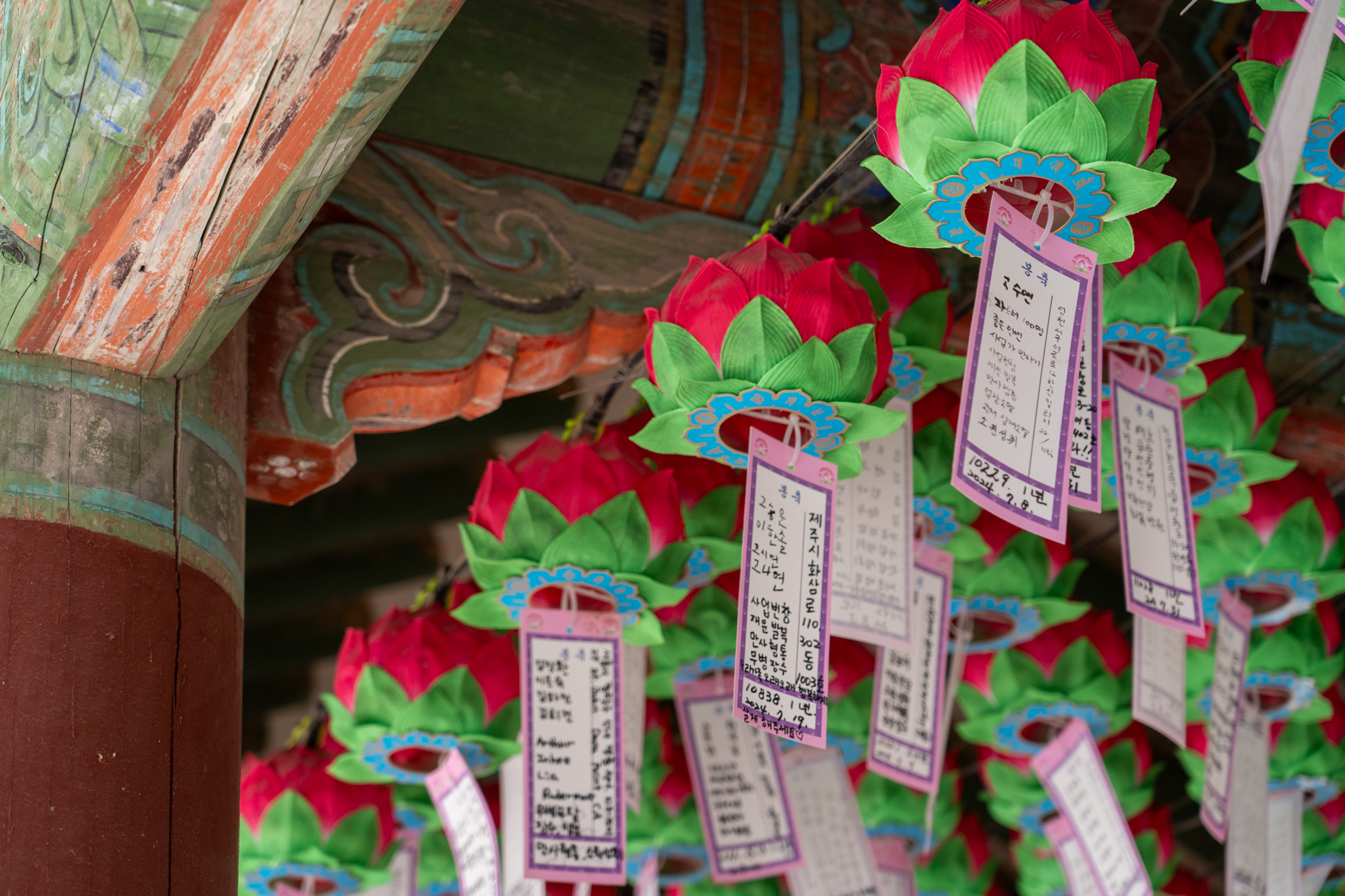 願い事が書かれたカラフルな提灯がたくさん