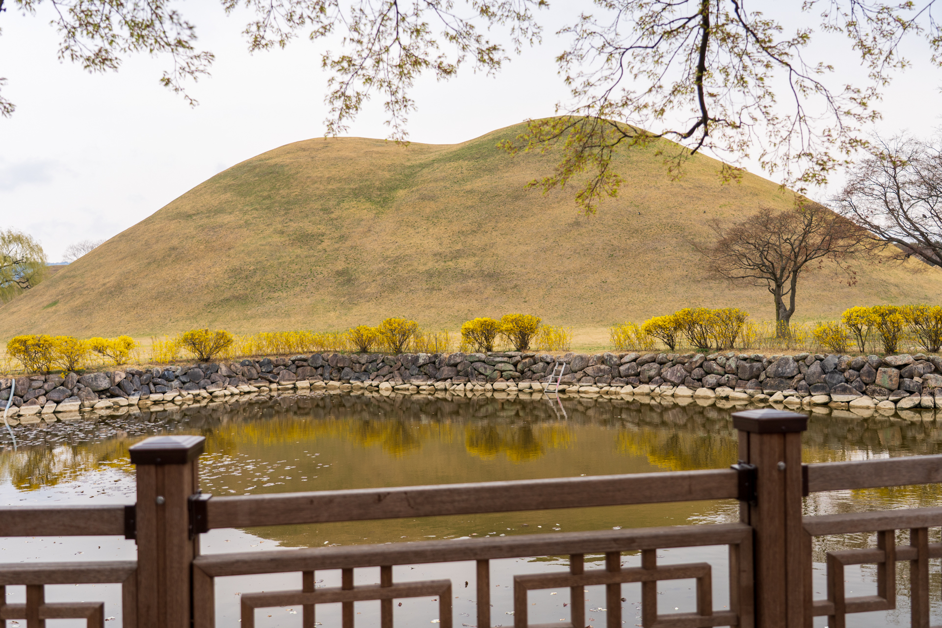 新羅時代の王墓である古墳が大小23基も並ぶ史跡公園「大陵苑（テルンウォン）」