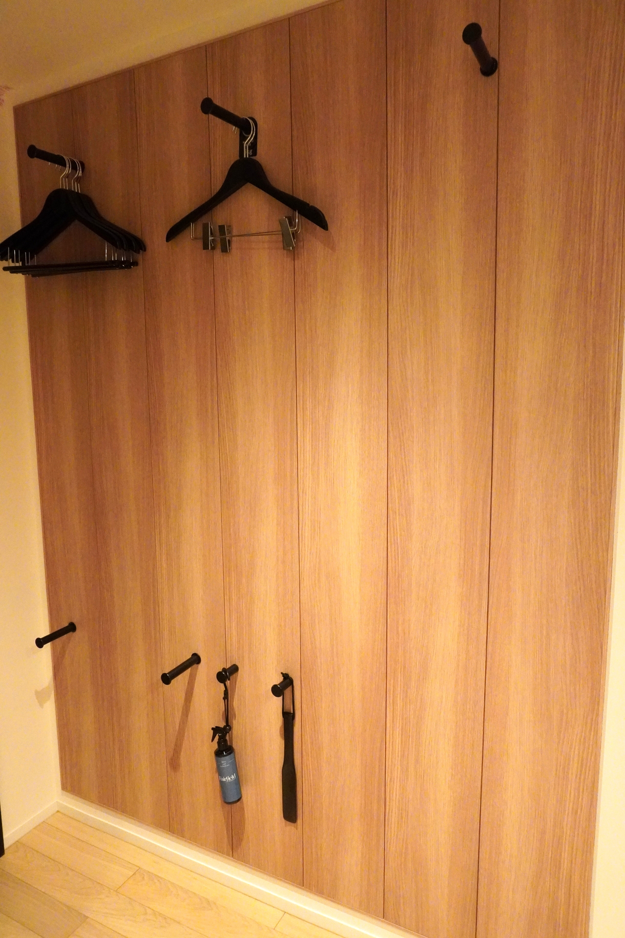 ハンガーをかけるところがたくさんある（客室の定員は1～2名）