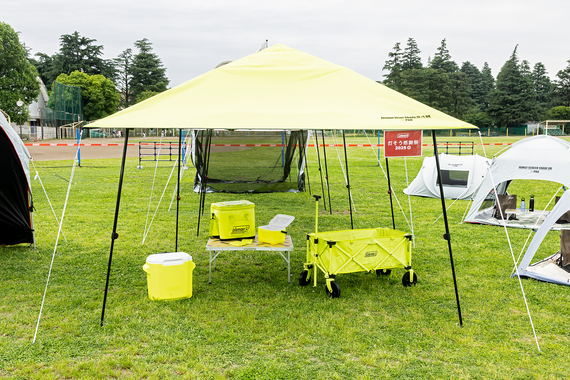 LIME YELLOWの限定カラーアイテム