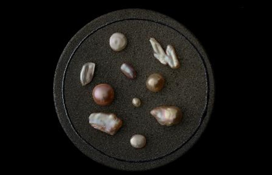 車内に展示する「琵琶湖真珠と卯山窯の陶板」