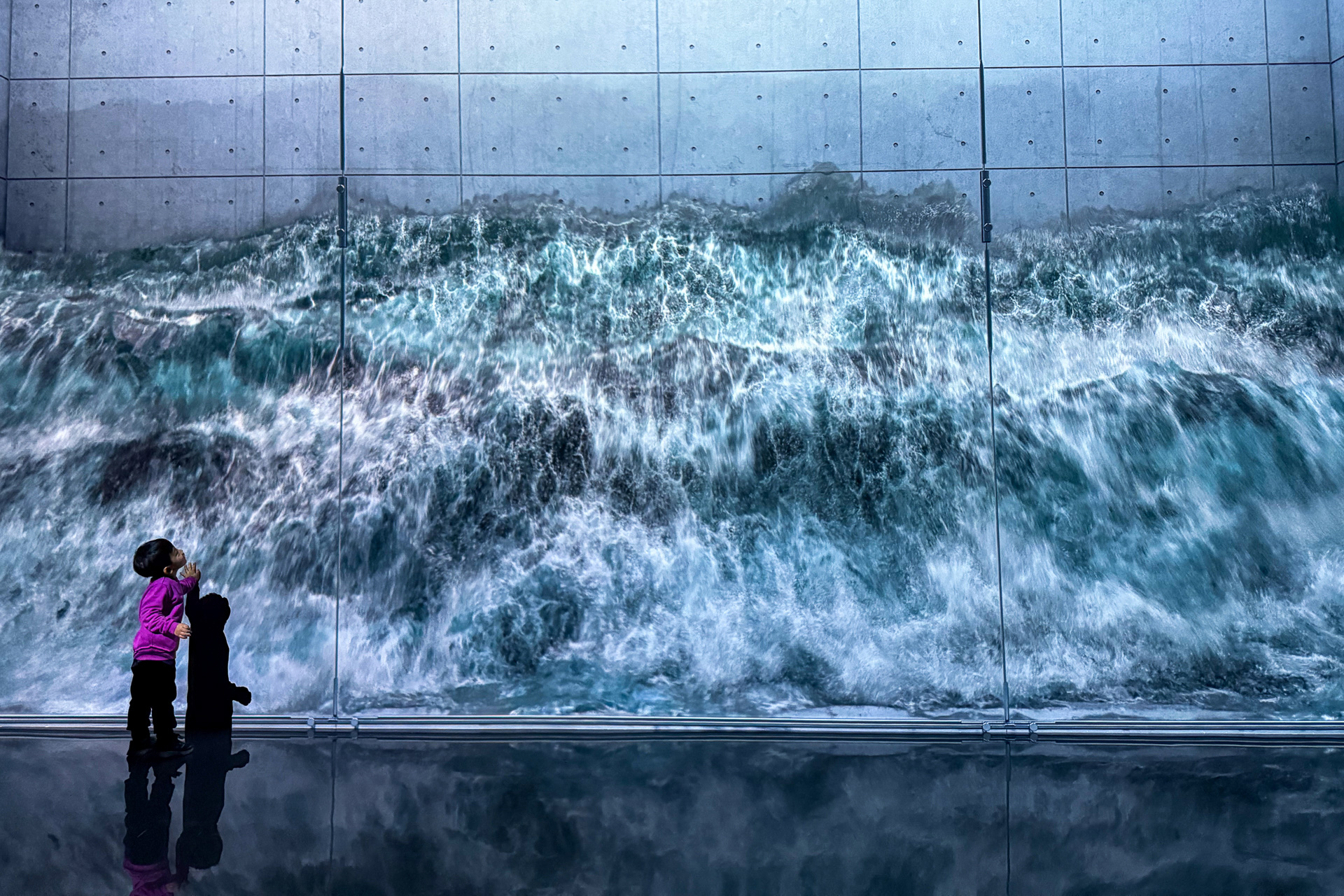 デジタル映像とはいえちょっと怖いくらいの迫力