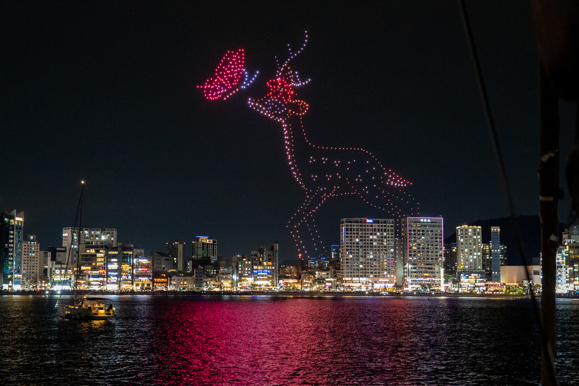 初めて肉眼で鑑賞したドローンショーは蝶やバンビ、花などが夜空に出現。すごいテクノロジーだなぁ～と感心