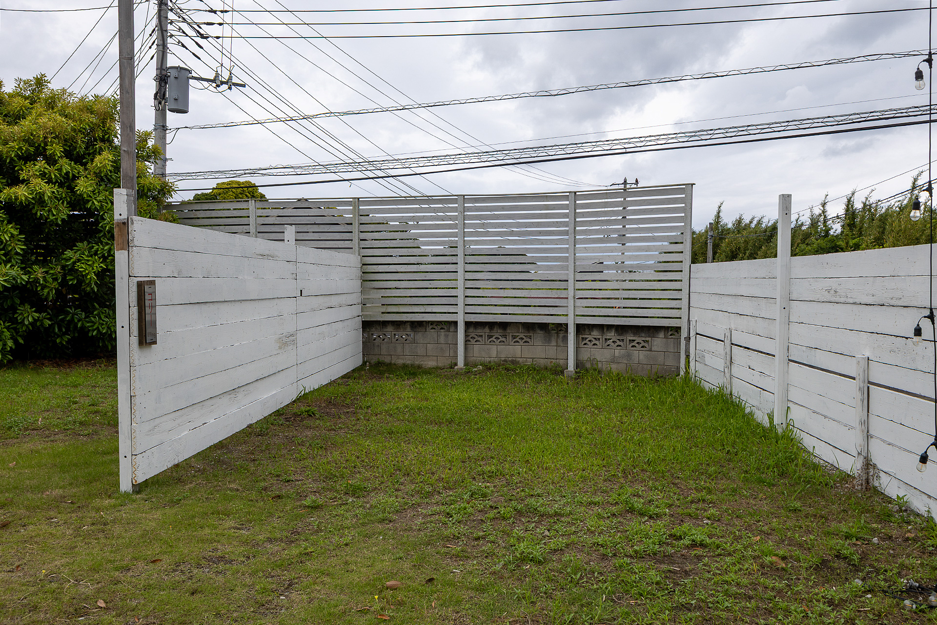 コリーサイトも土の地面。草刈りはしているがまだ利用していないのですぐに伸びてきてしまうそうだ。正式に営業になった場合はきちんと整備される