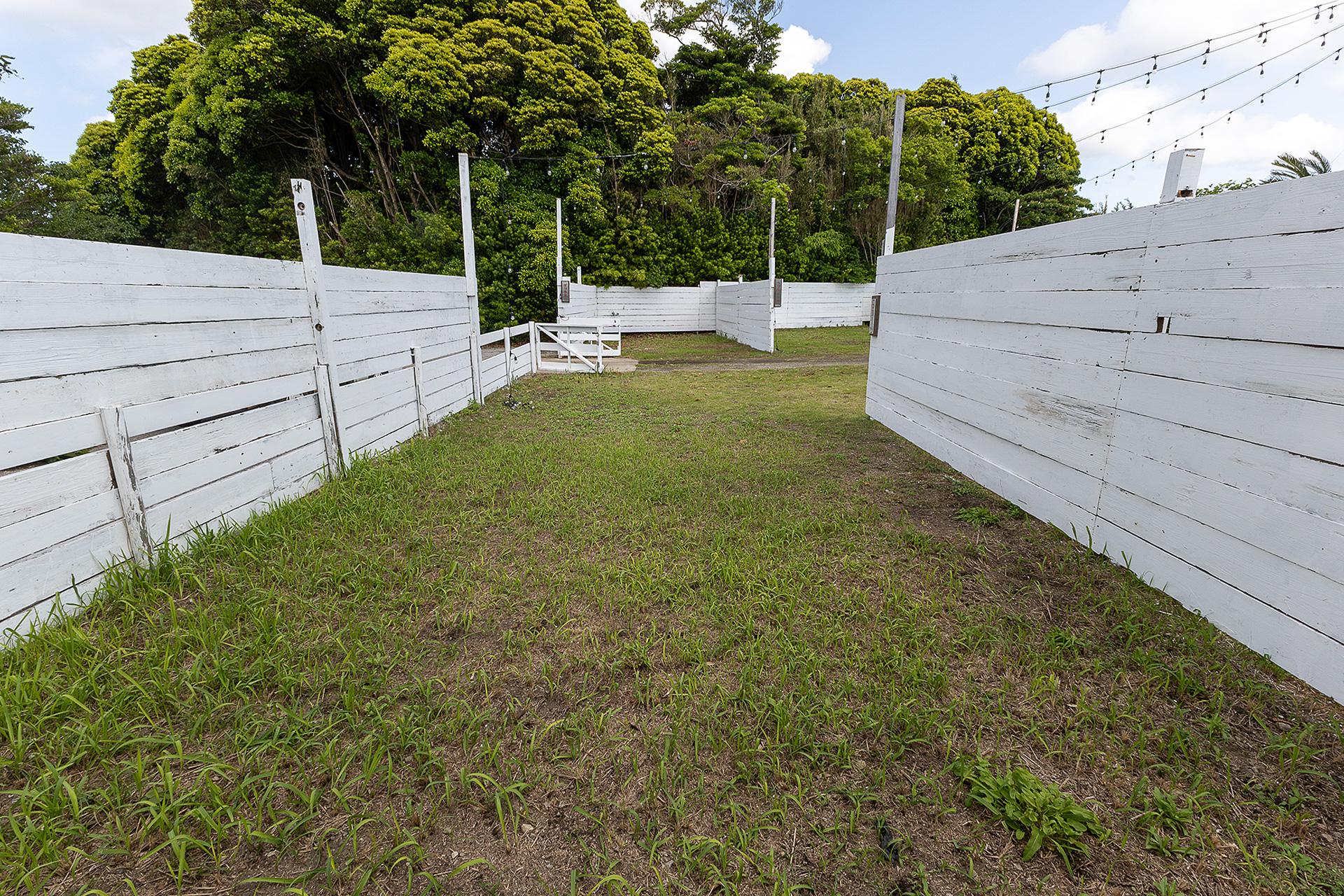 サイト内からの光景。広角レンズなので実際より広く写っている