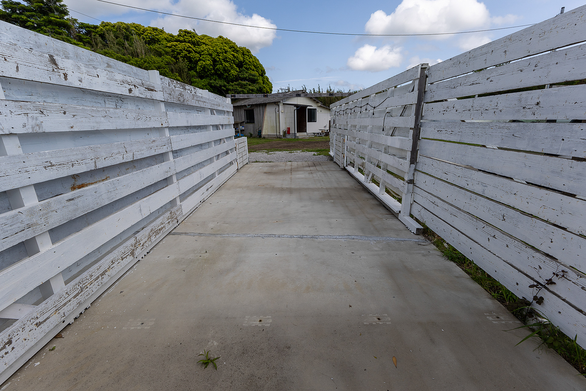 サイト内からの光景。この列の奥行きはすべて同じサイズ