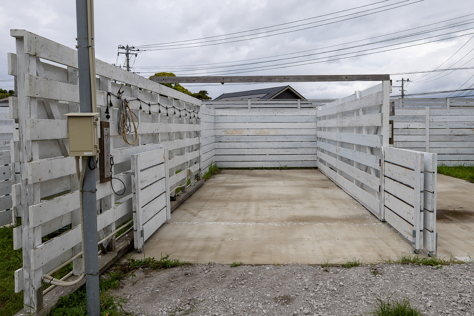 プードルサイト