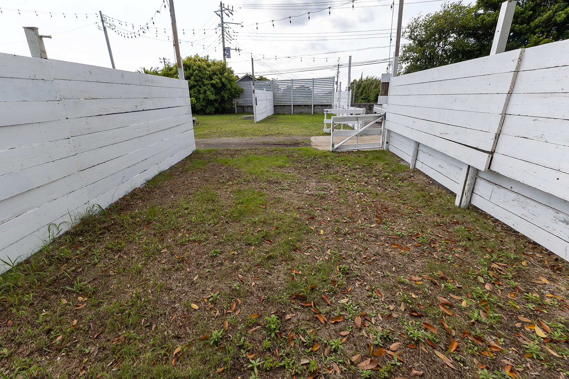 サイト奥からの光景。写真だと奥行きがあるように見えるがそうではない。横にタープなどの装備を展開する使い方がいいだろう