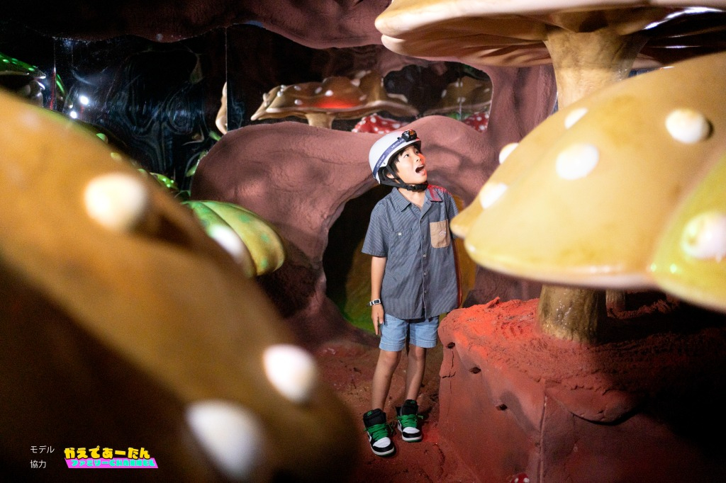 洞窟探検アトラクションなどの屋内施設や夏に楽しみたいウォーターライドも