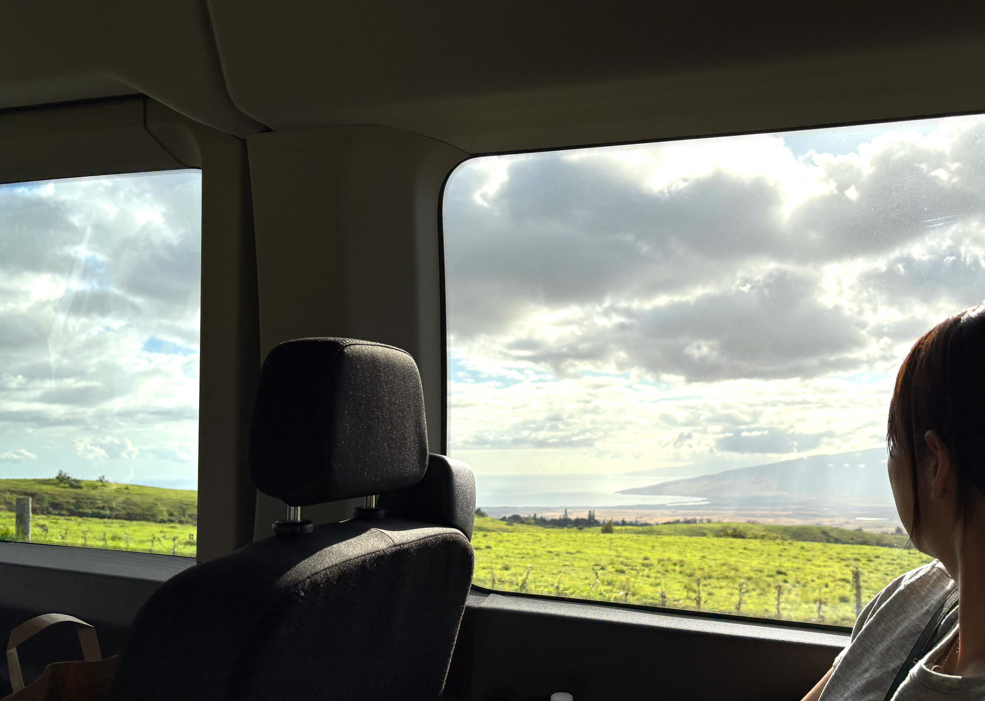 標高が低いところからの車内からの眺めは緑の風景
