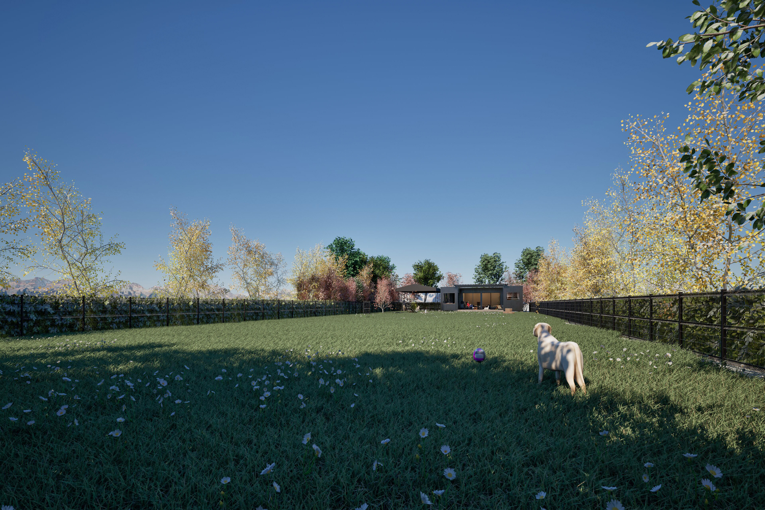 最大1000m<span class="em sup">2</span>を超える関東最大級の専用ドッグランを完備