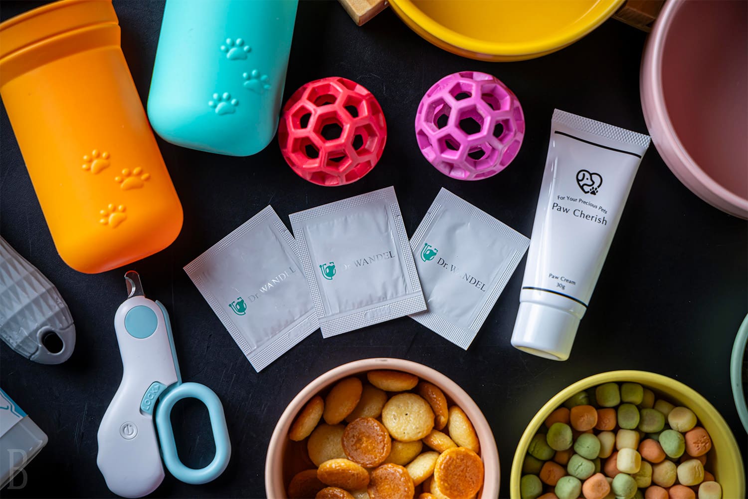 ドッグフレンドリーサービス