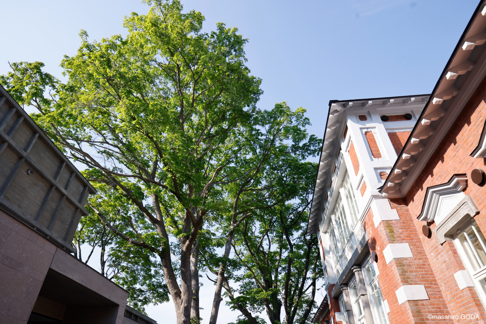 「領事館棟」に入る客室は、プライベートサウナ・水風呂付き
