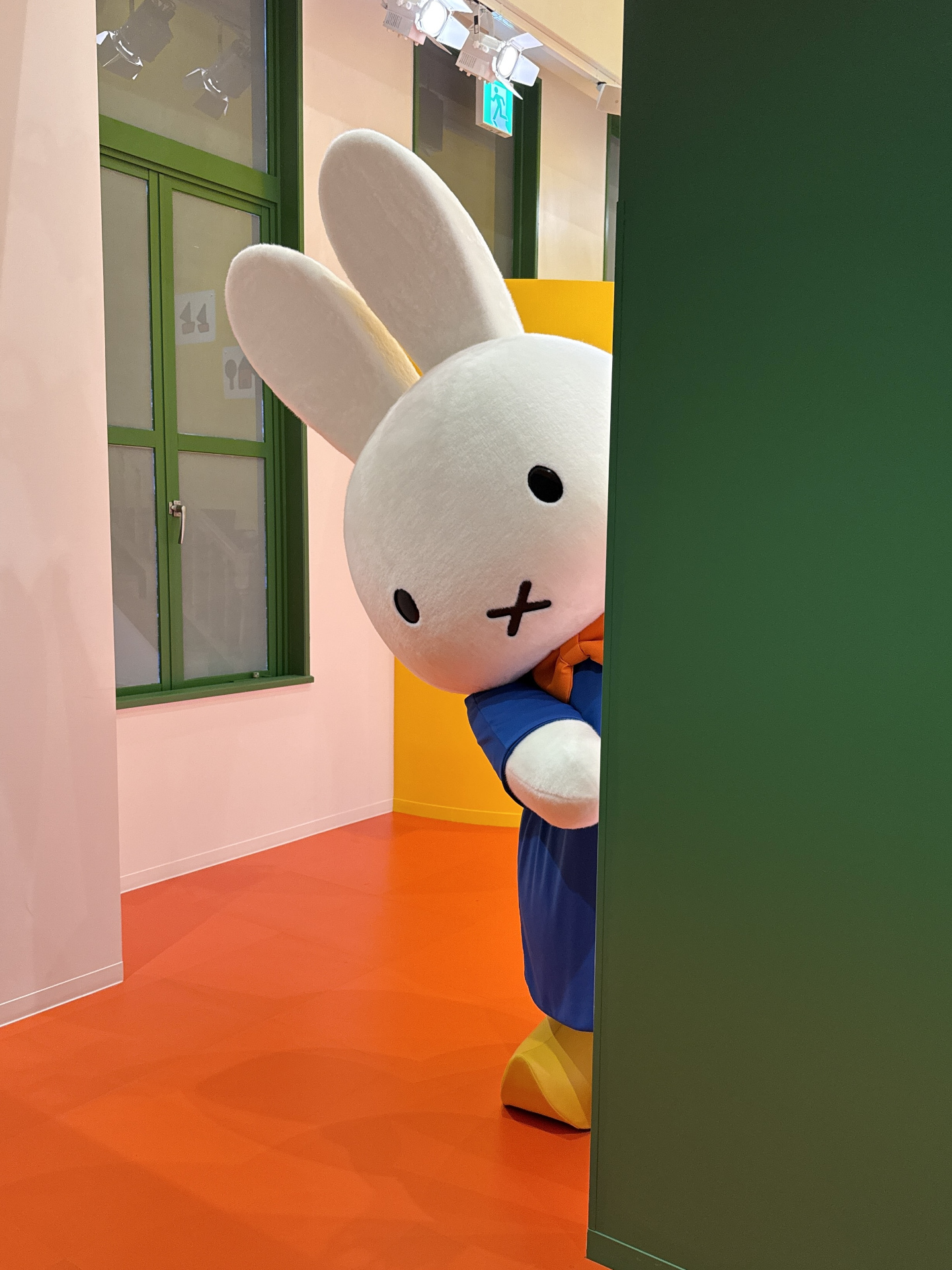 ミッフィーがお散歩から帰ってきたみたい！