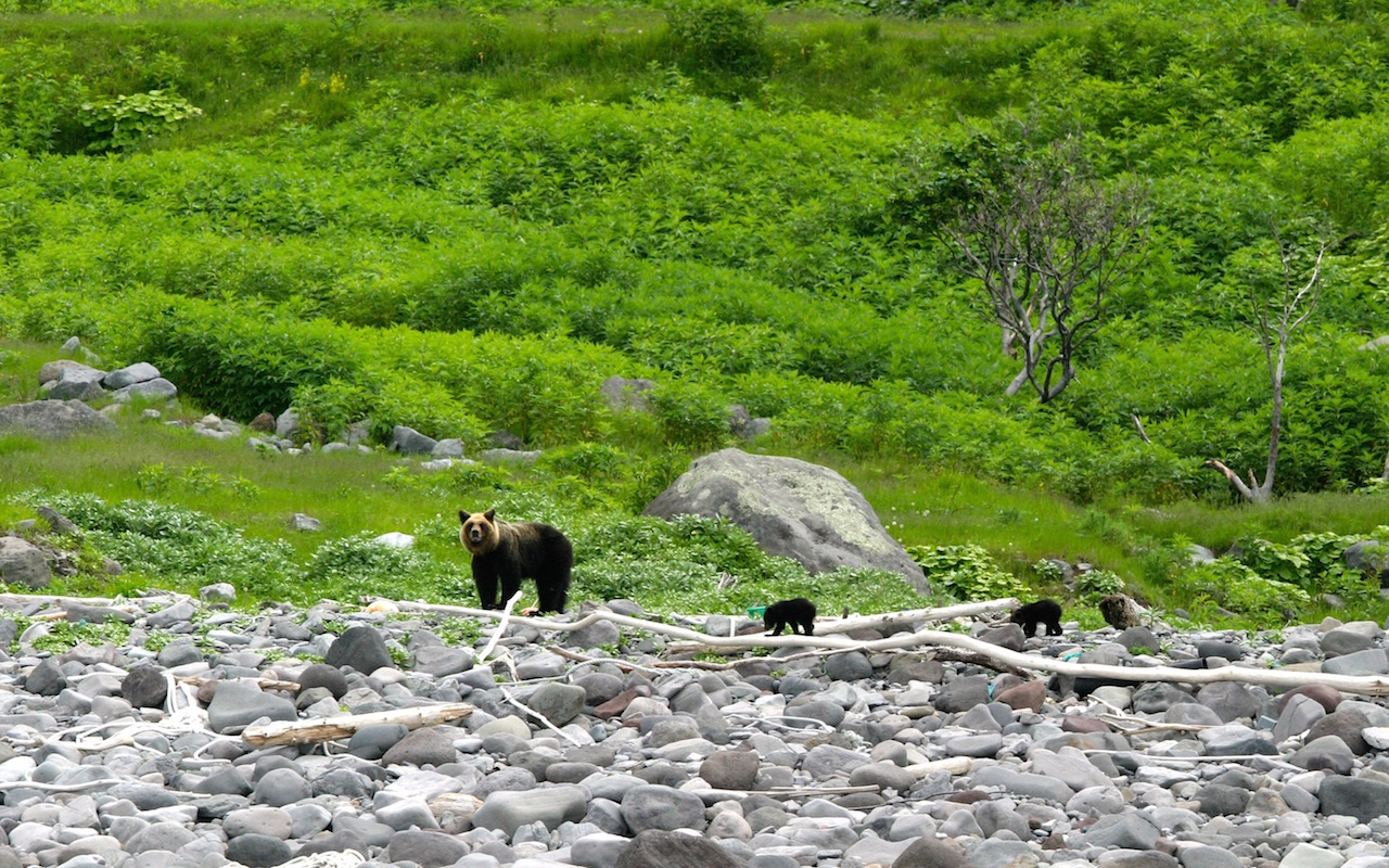 2位は北海道「知床」