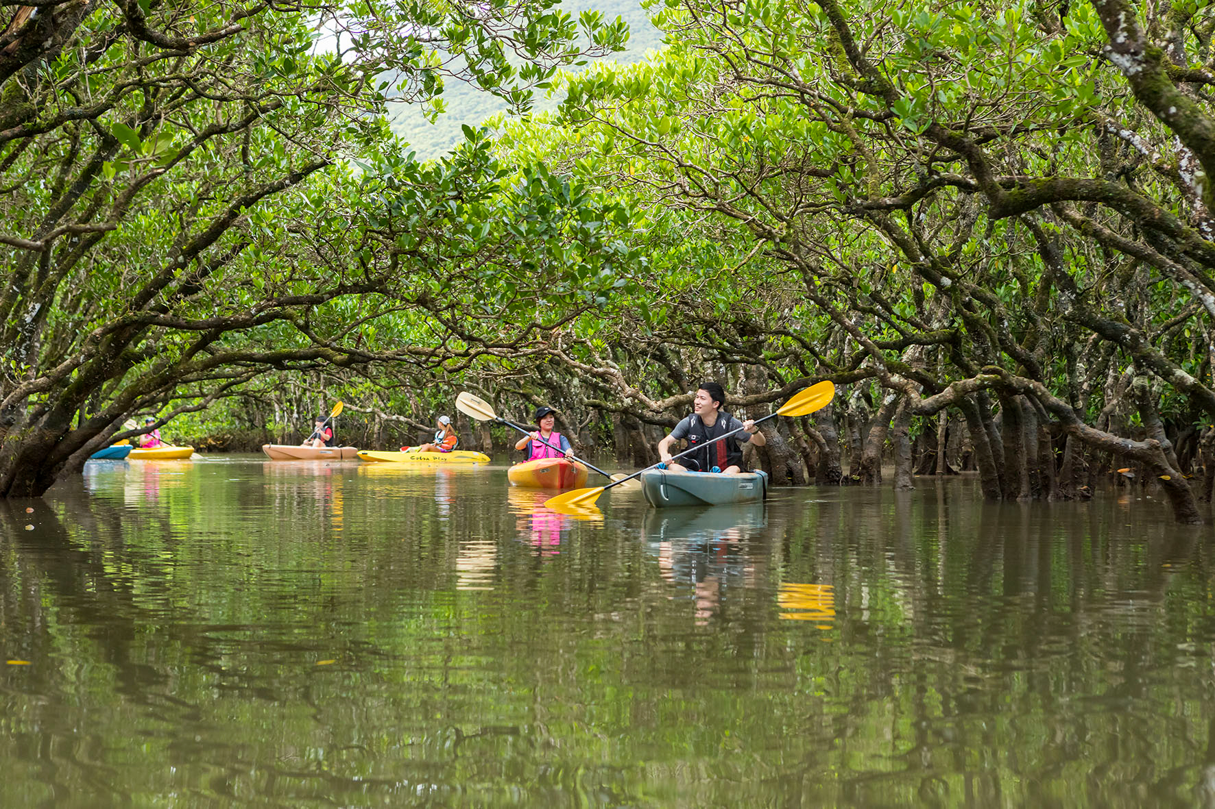 4位は鹿児島県・沖縄県「奄美大島、徳之島、沖縄島北部及び西表島」&copy; K．P．V．B