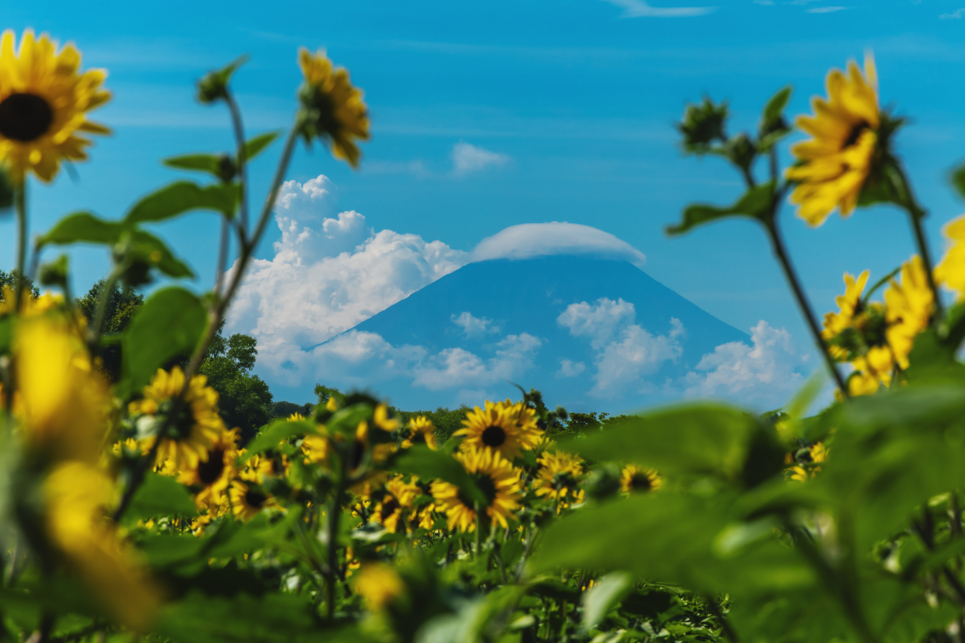 サンフェスサポーターと実行委員会関係者の集合写真