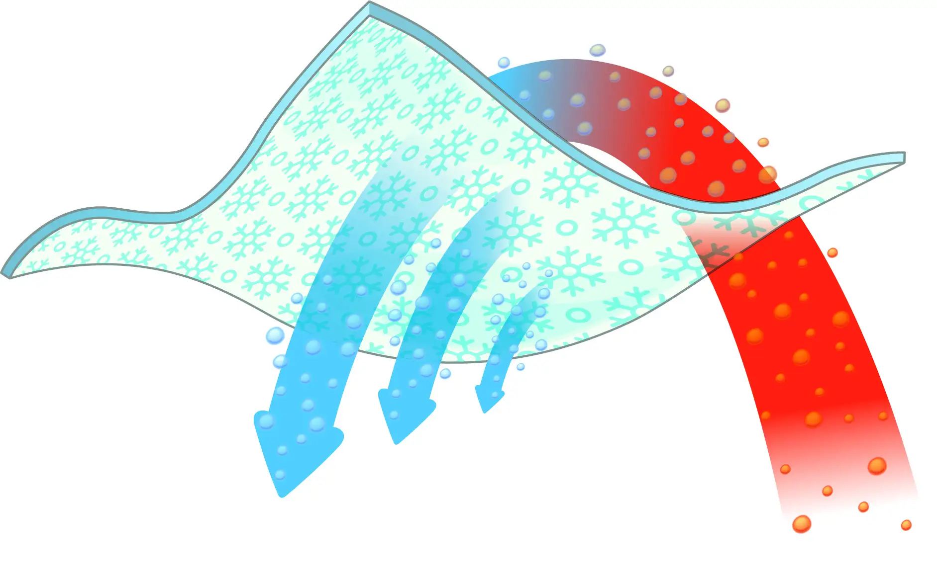 生地内側のプリントが冷感をもたらす