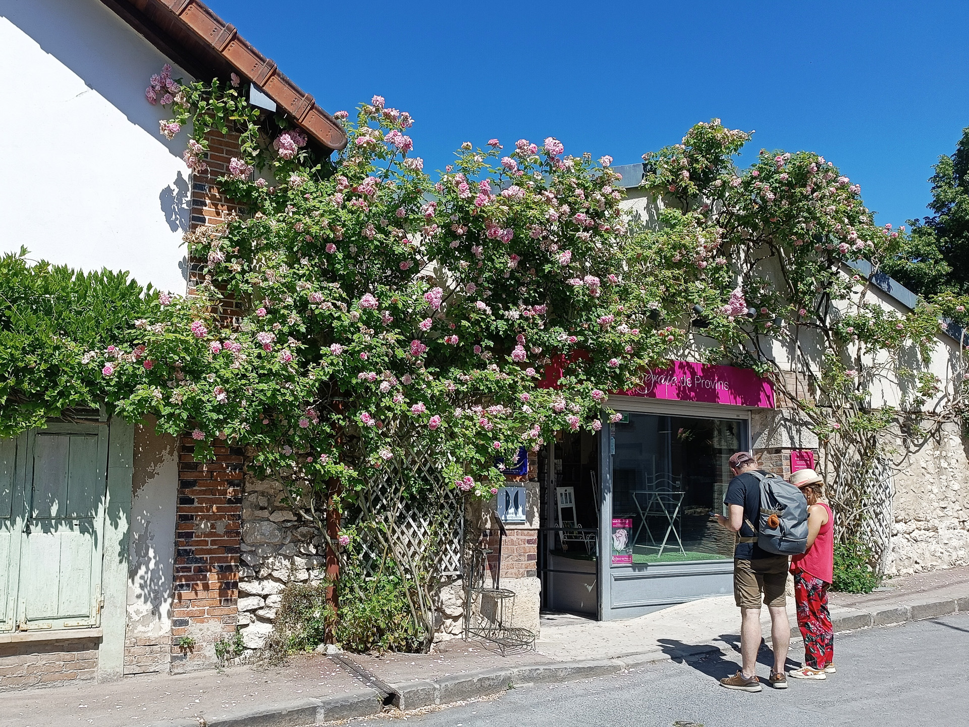 プロヴァンのバラ園