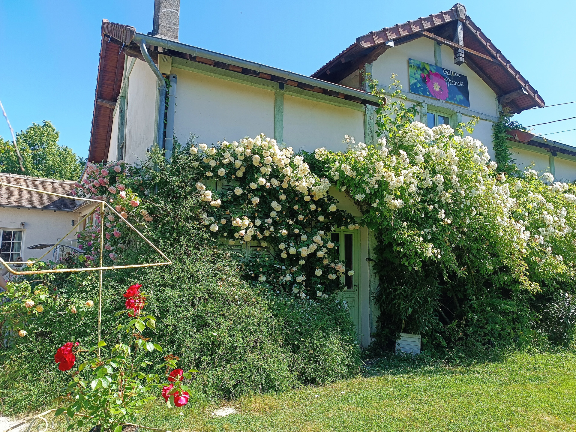 プロヴァンのバラ園