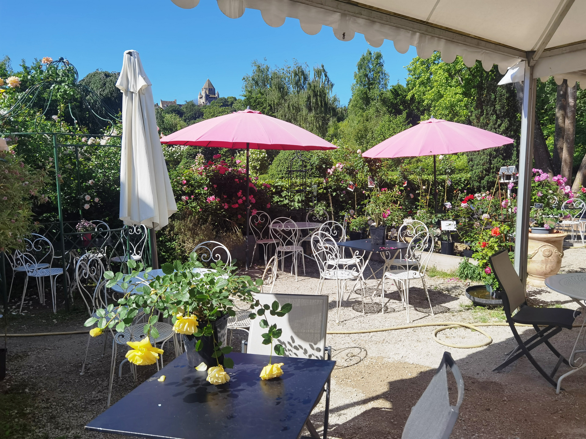 プロヴァンのバラ園