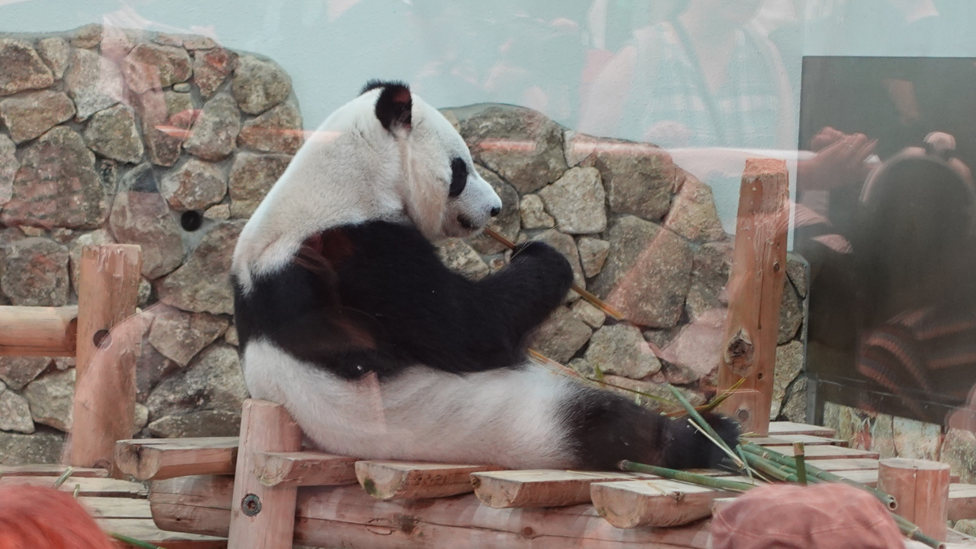 お尻を出して昼寝中だった「結浜」