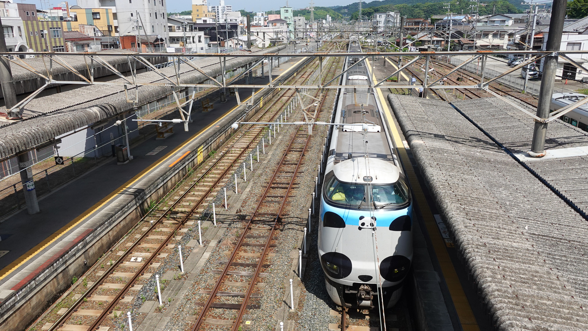 特急「くろしお」パンダシート