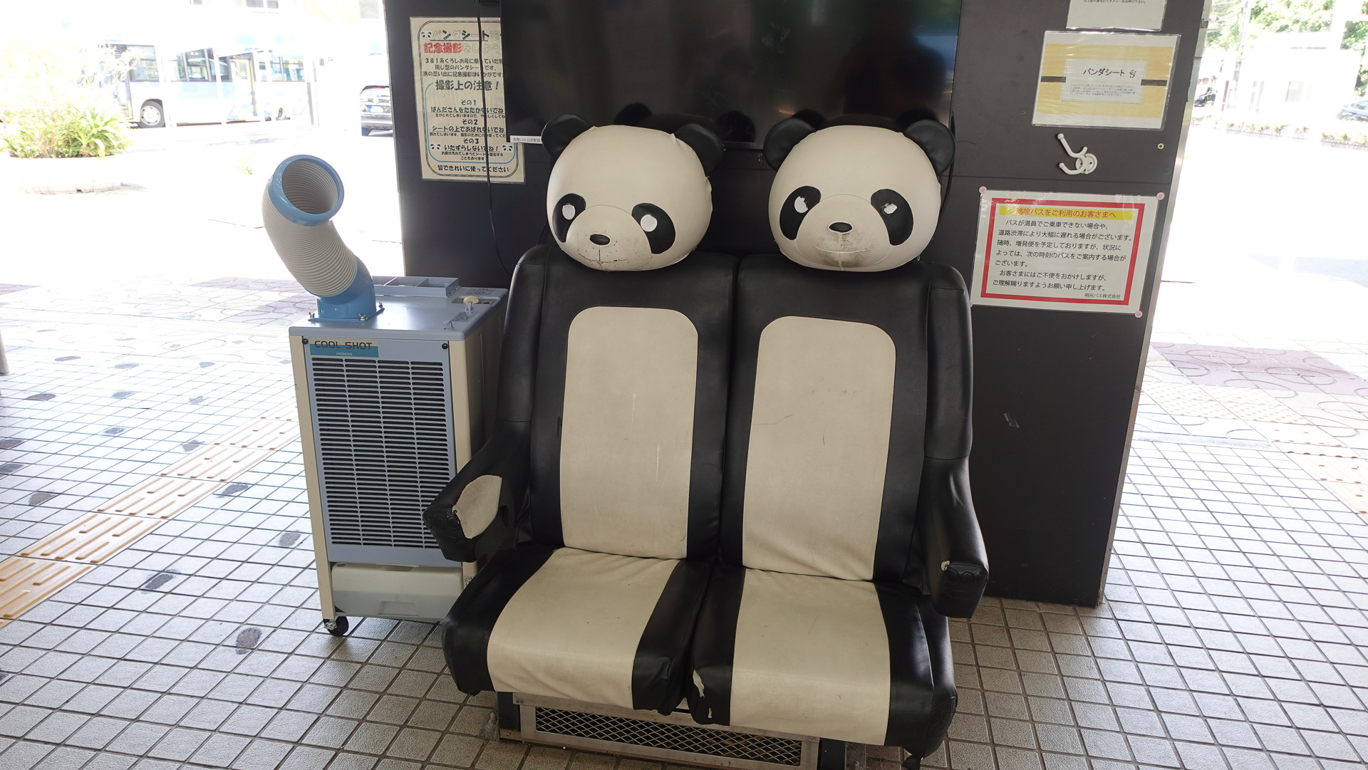 特急「くろしお」パンダシート