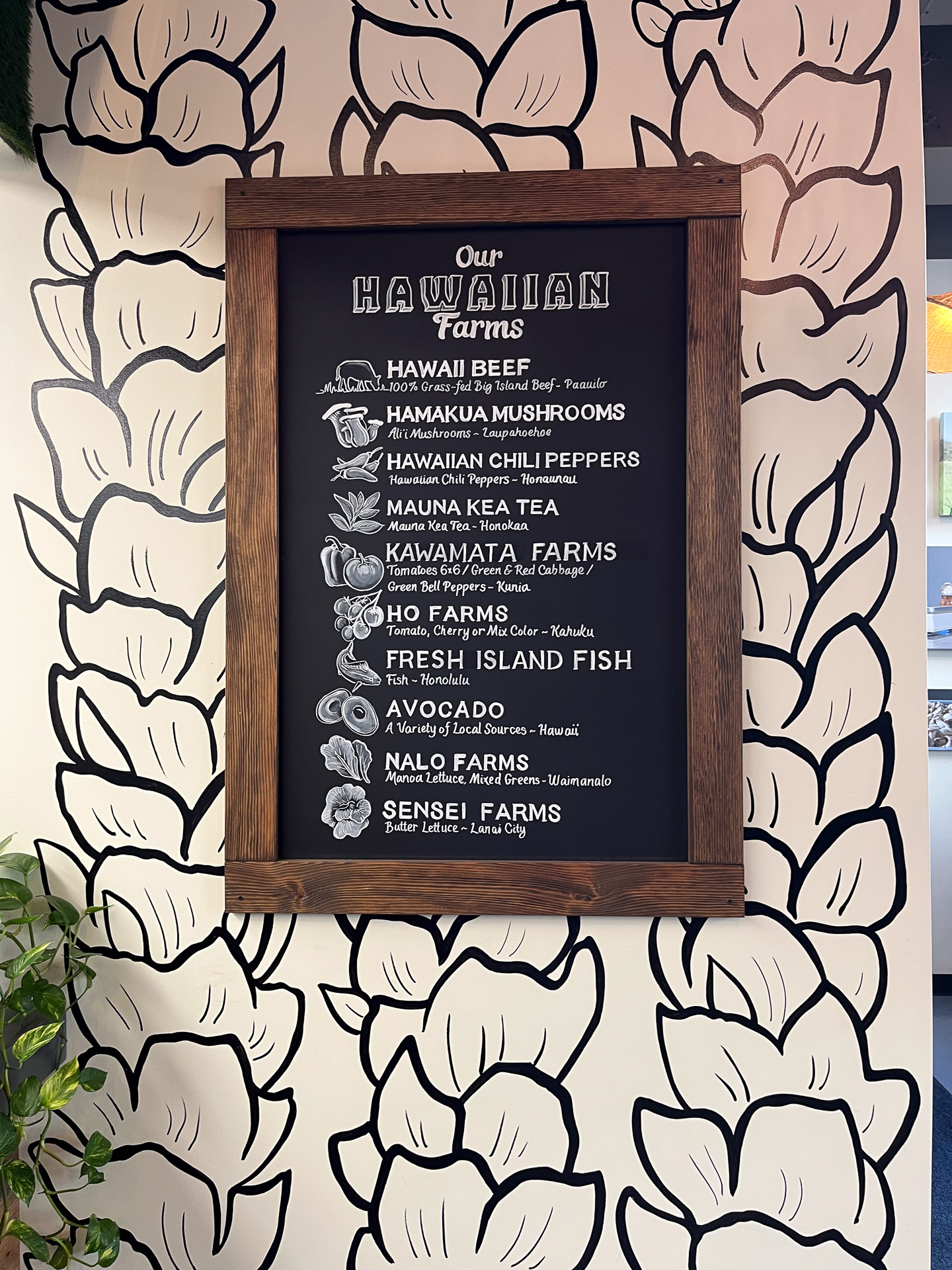 ハワイ産の食材を見ることができる