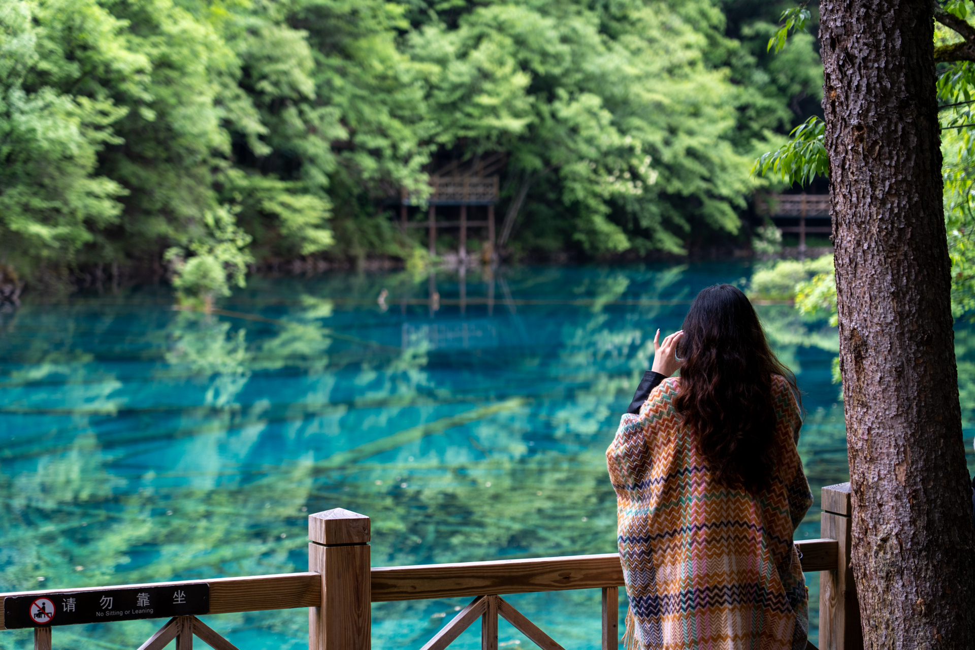 高速鉄道が開通してアクセスがよくなった世界遺産・九寨溝（きゅうさいこう）へ！
