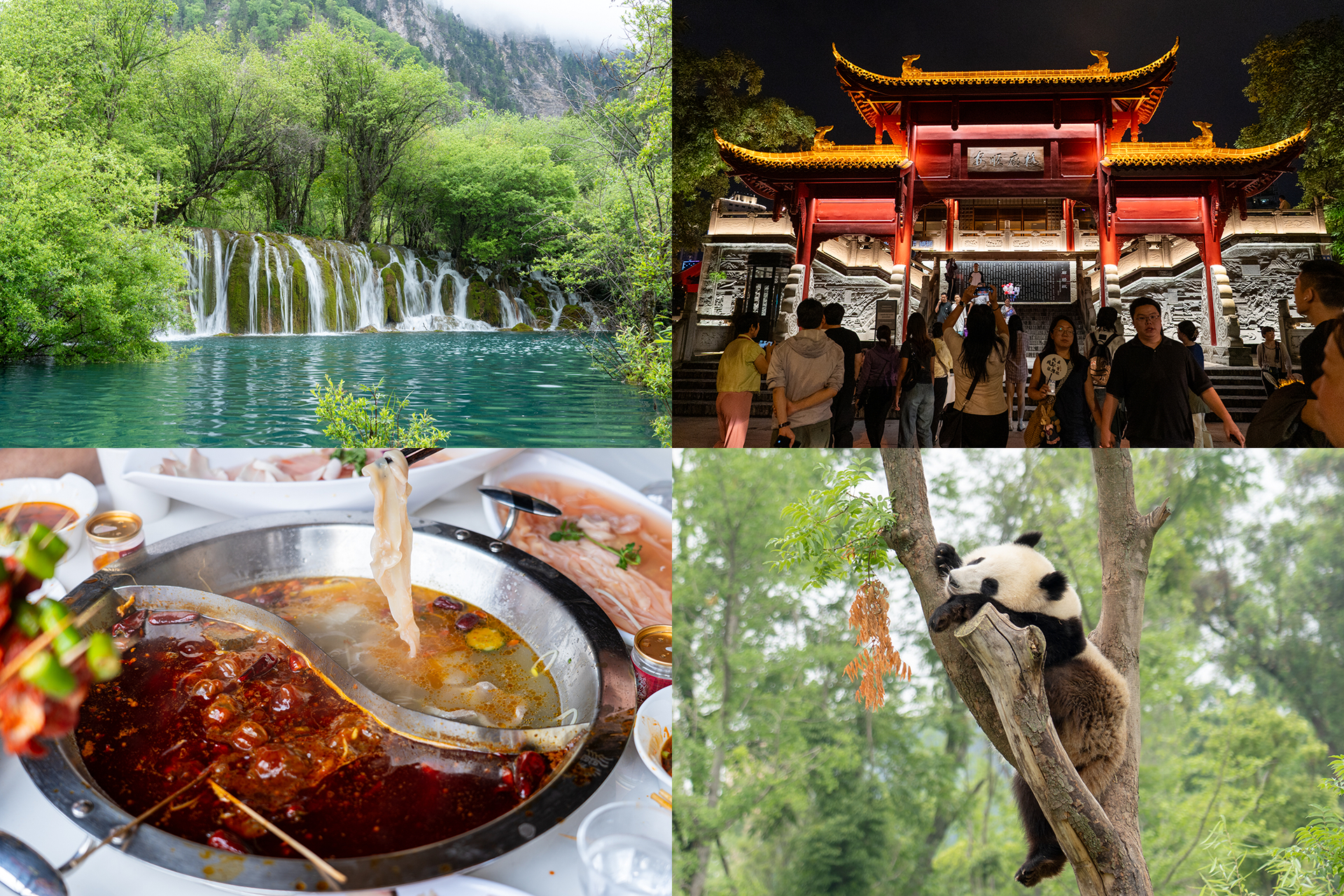 成都の前編です