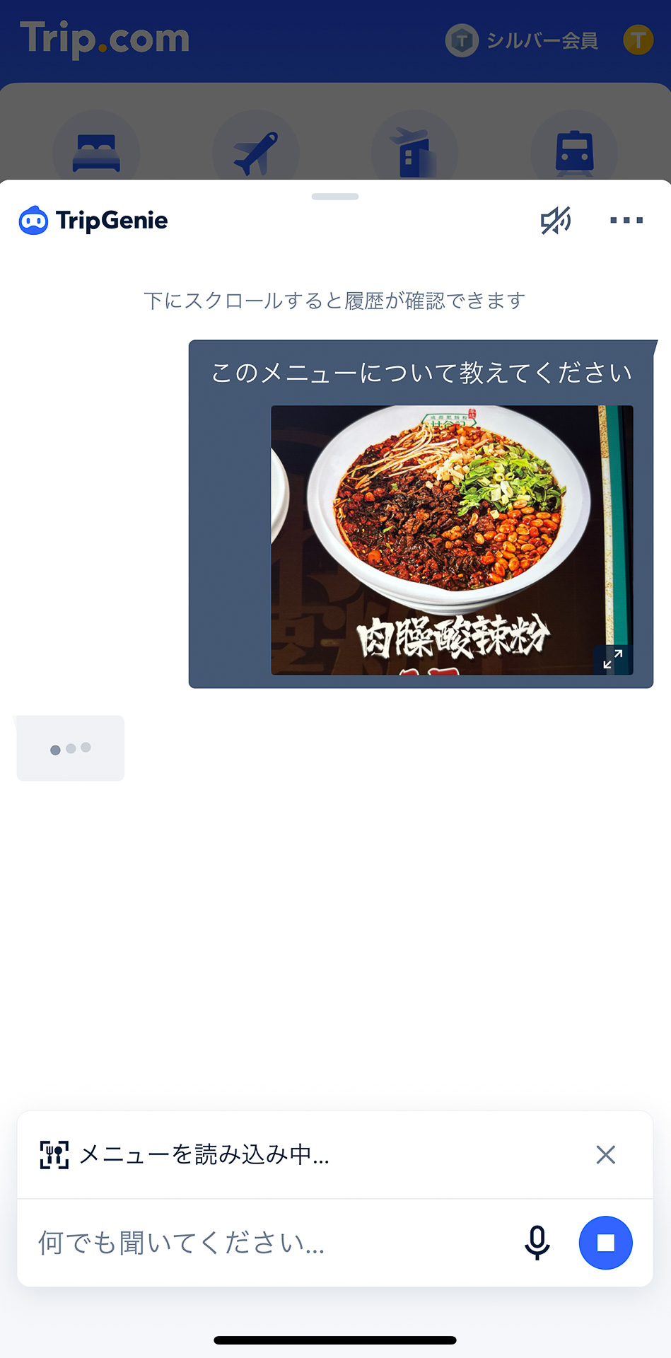 写真にある中国語のメニュー名を解読したAIがほんの数秒でどんな料理なのか教えてくれます。ぜひお試しあれ！